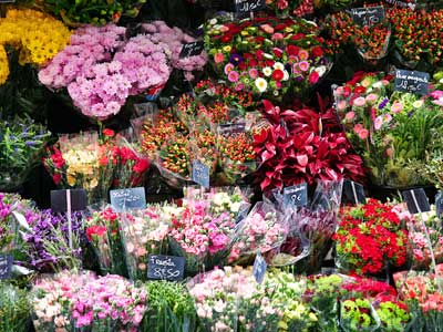 Compre Flores Naturales Al Por Mayor