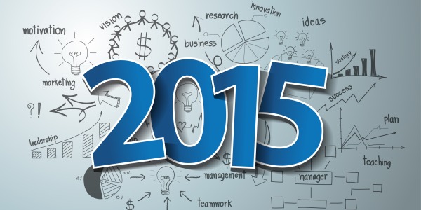 año económico 2015